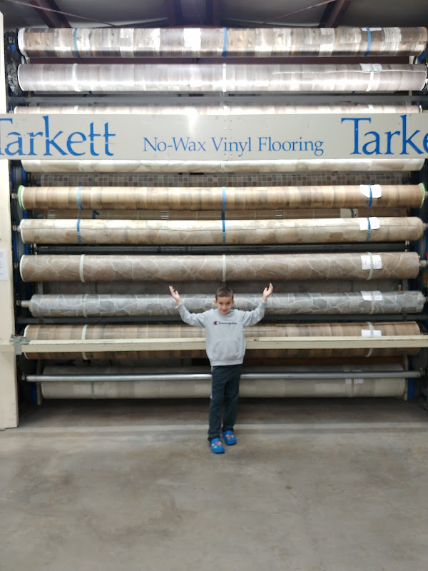 Variety of wood flooring samples